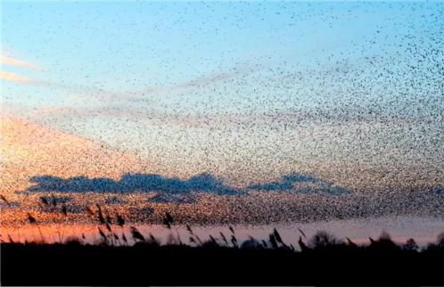 Goose Feather Barn, Wedmore luxury cottage for two - Foto 5