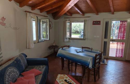 Cottage in the green - Photo 61