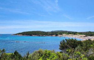 Flamingo's Home - Foto 19