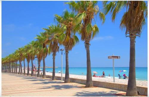 Apartamento frente al mar - Foto 53