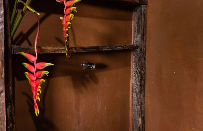 La Finca Azul - Foto 46