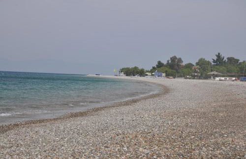 Irene Studios - Foto 45