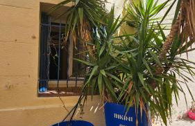 Le panier à vos pieds - Photo 45