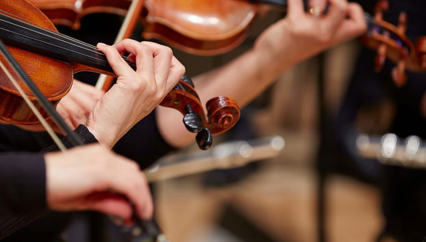 Vivaldi's Four Seasons Concert - Foto 4