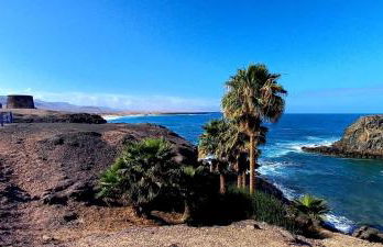 Apartamento Hibisco - Foto 36