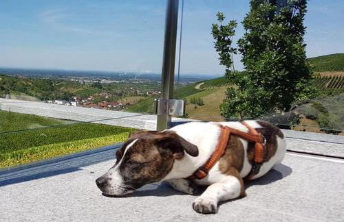 Ferienhaus mit Panoramablick - Foto 10