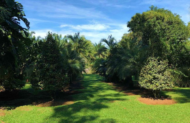 Casa Naranjito - Foto 36