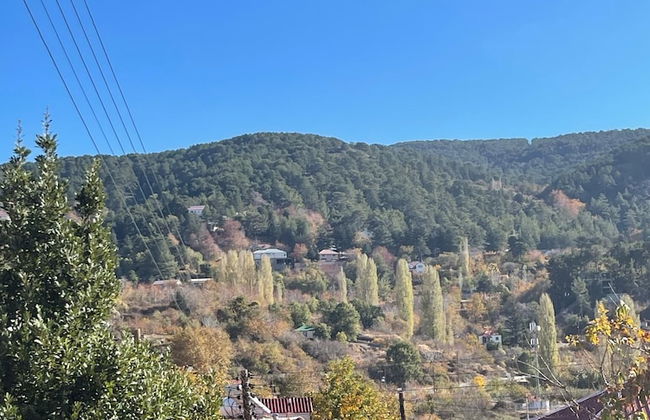 Holiday House Prodromos - Photo 29