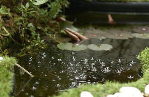 Forest Escape near Barcelona - Foto 3