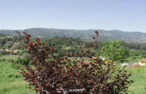 Quinta da Costeira - Casa Azul do Limoal by ALPONTE - Foto 95