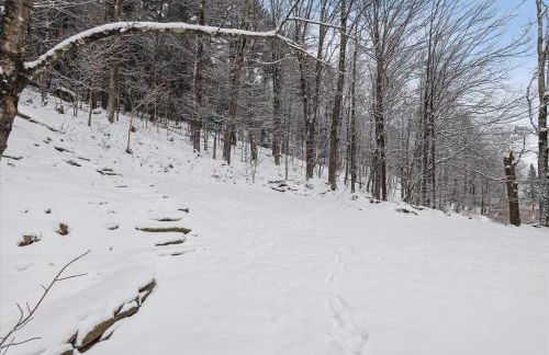 The Cozy Villager - Foto 26