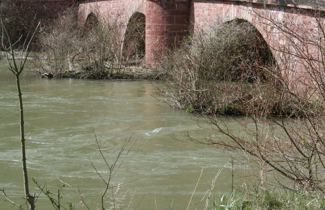 Apartment in Tauberbischofsheim - Foto 13