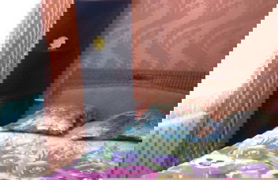 Apartment Kirova 59 - Photo 22