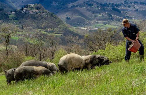 Agriturismo Terra di Michelangelo - Foto 110