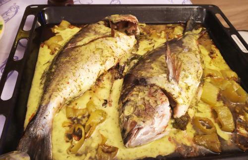 Pilion-Unique House at the Aegean Sea - Photo 12