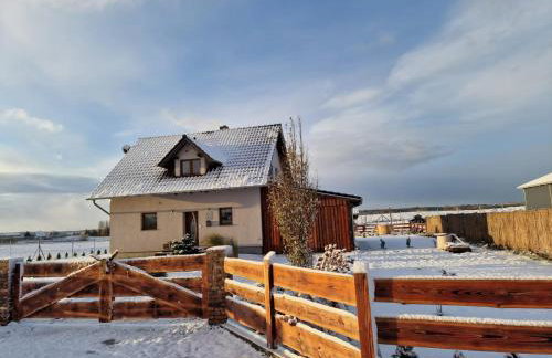 Agroturystyka Kaszuby Villagehome - Foto 54