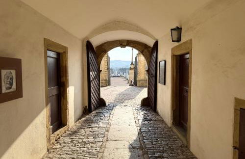 FeWo Pelkmann Apartment 1 - Die Grüne Oase in Weikersheim - Foto 34