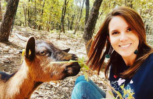 "Les Hauts du Marquet" - Meublé de tourisme 5 Etoiles - Gîte de groupe 15 Personnes en Cévennes - Piscine à débordement - Balnéo - Sauna - Nature - Foto 64