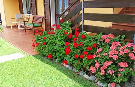 Appartamento Belvedere Navene - Foto 39