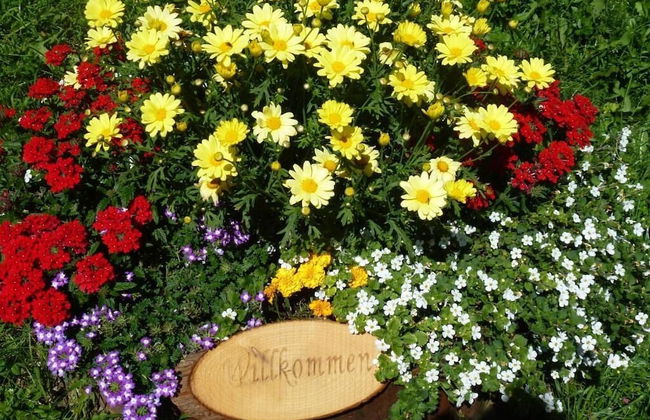 Mascherhof - Foto 53