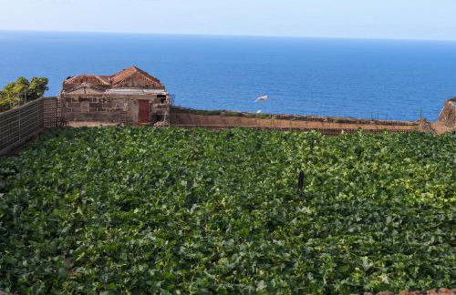 Cosy chalet with panoramic views in Icod de los Vinos - 70m² - Foto 19
