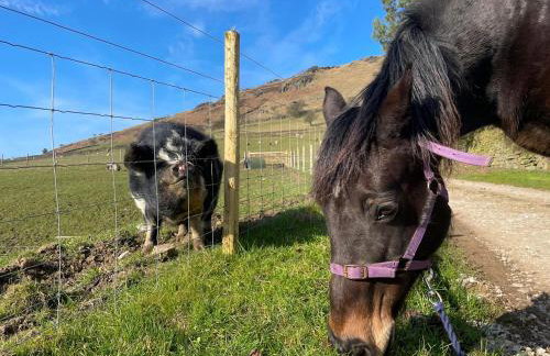 Willow Cottage At Naze Farm-Uk32760 - Foto 13