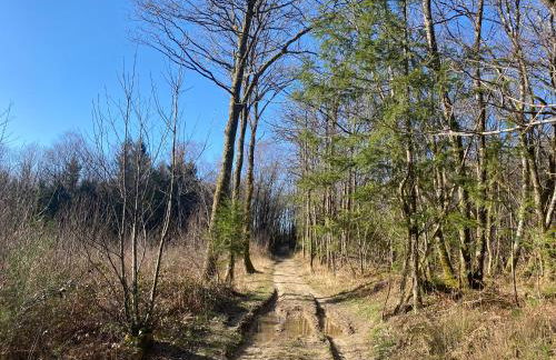 Belle Vue Gite - Foto 35