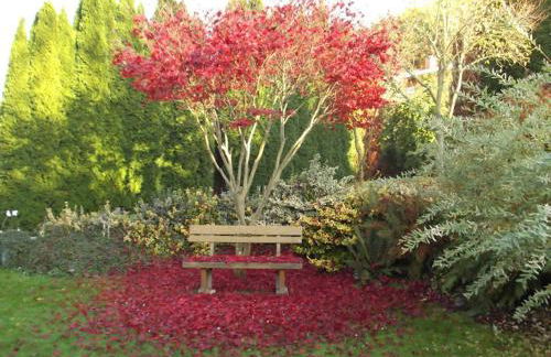 Ferienwohnung Schmidt Werratal - Foto 16
