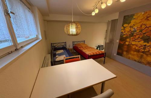 Nice and cosy studio apartment in a central location - Foto 3