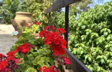 Casetta a Cavarretta - Foto 13