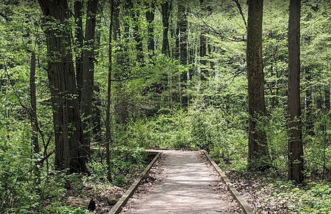 Cliffside Suite #3 - Seacliff Beach Suites - Foto 17