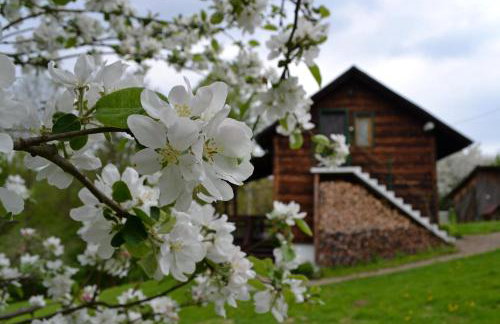 Na końcu świata - Foto 53