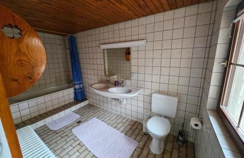 Gast- und Milchhof Franz - Foto 36