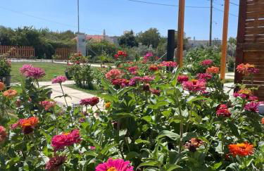 VICTORY SUITES - Foto 32