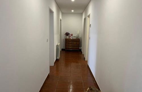 Apartment Casa de Casarelhos by Interhome - Foto 29