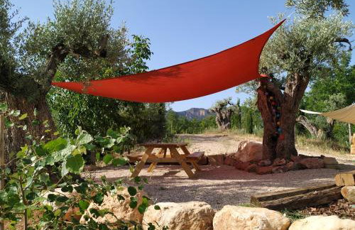 Maset del Riu - Foto 3