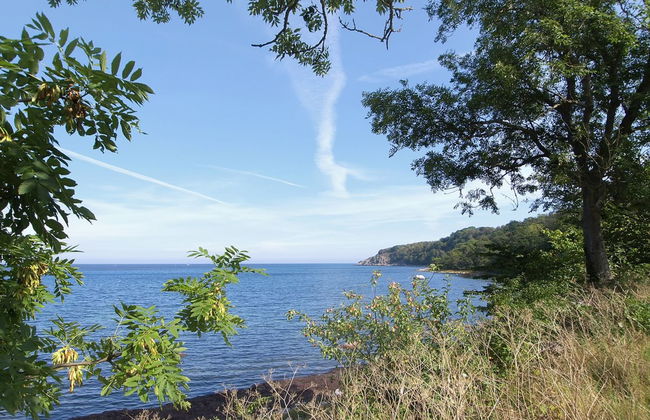 "Alfred" - 25m from the sea - Foto 20