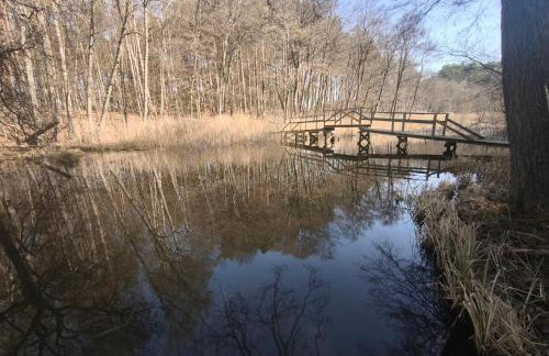 Przystań Familijna - Foto 15