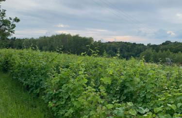 loge de la Besnardière - Foto 26