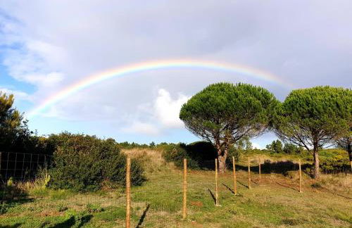 Sondela Self Catering - Foto 24