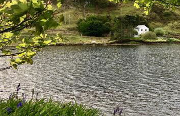 Storr Apartments - Foto 65