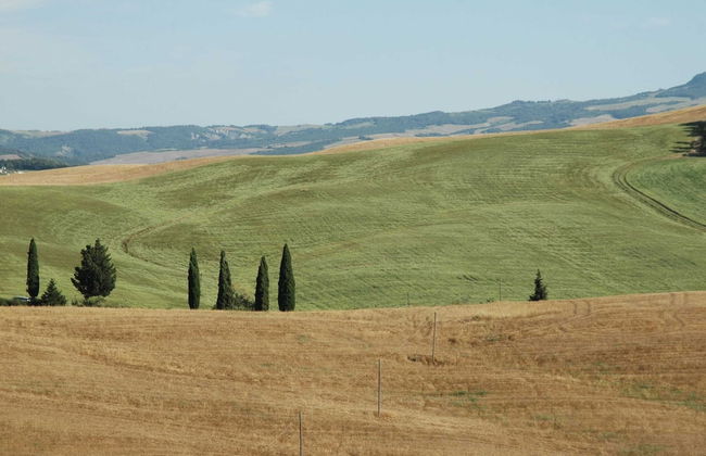 Authentic Pool House - Foto 37