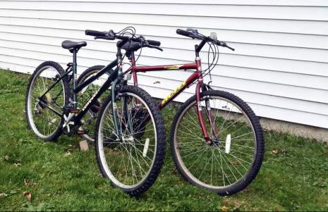 TheLilyPad - Foto 24