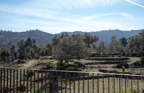 Raposa Verde - Agroturismo - Foto 56