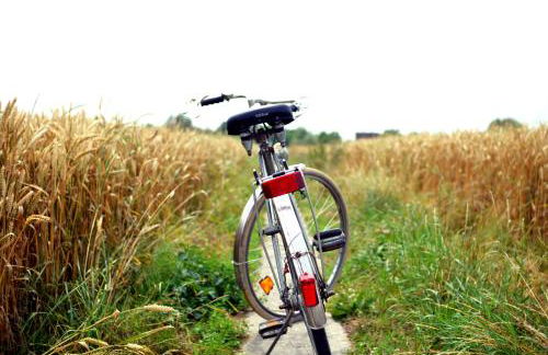 Reiterhof Gründeich - Foto 63