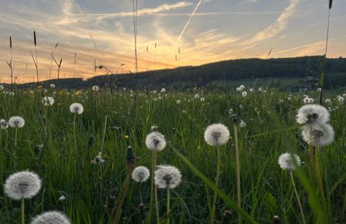 Haus Blumenglück 2 - Foto 27