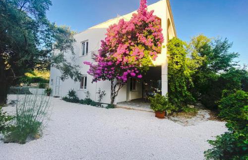 Olive Garden Apartments - Photo 1