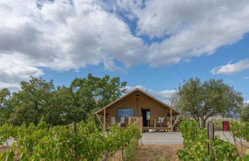 Castello di Serragiumenta - Foto 19