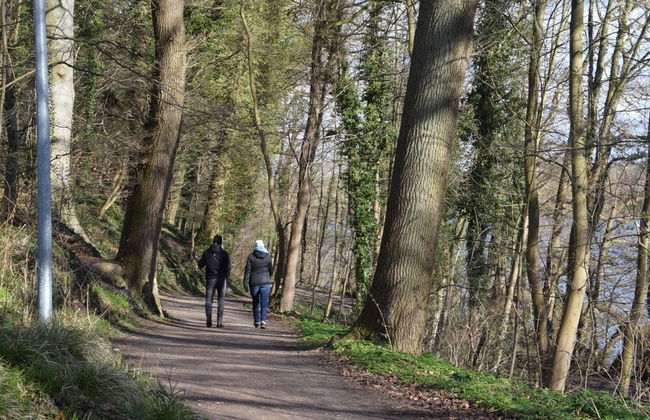 Flat in Eutin on the Kleiner Eutiner See Lake - Photo 64