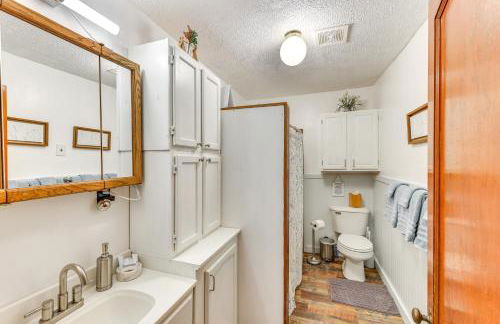 Charming Parsons Cabin with Grill on the Cheat River - Foto 14